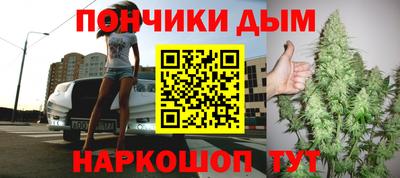 шишки Гатчина