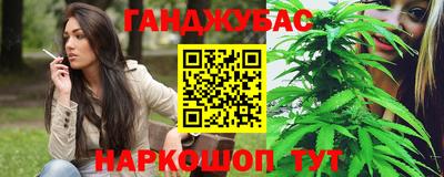 шишки Гатчина