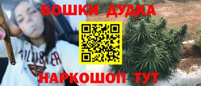 шишки Гатчина