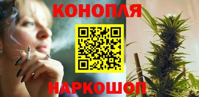 шишки Гатчина