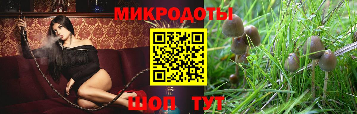 Галлюциногенные грибы Cubensis  Псилоцибиновые грибы Magic Shrooms  Вход с VPN  Муравленко 